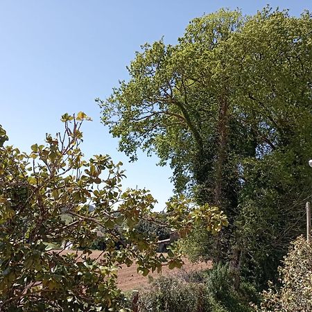 Apartament A Casa Do San Paio De Buscas Ordes Zewnętrze zdjęcie
