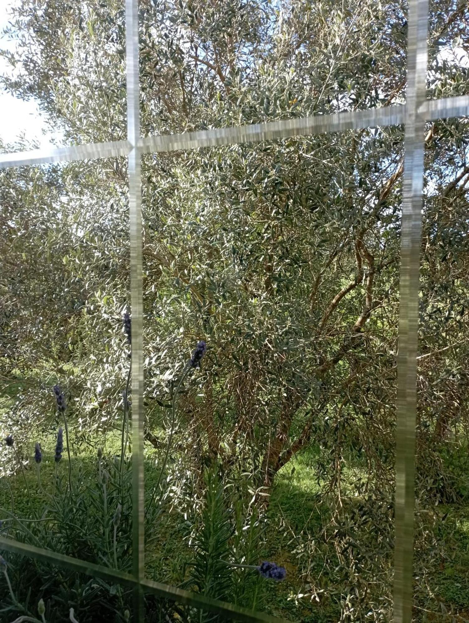 Apartament A Casa Do San Paio De Buscas Ordes Zewnętrze zdjęcie