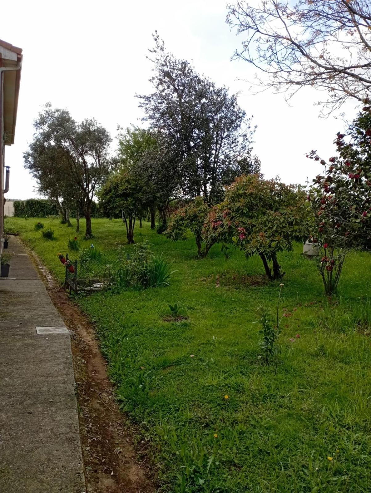 Apartament A Casa Do San Paio De Buscas Ordes Zewnętrze zdjęcie