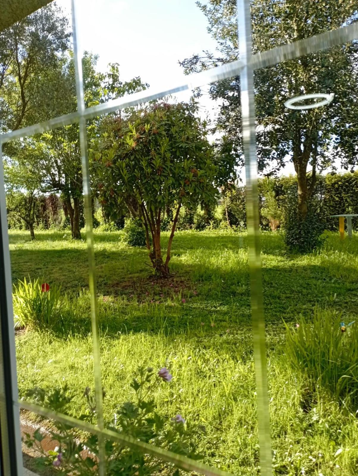 Apartament A Casa Do San Paio De Buscas Ordes Zewnętrze zdjęcie